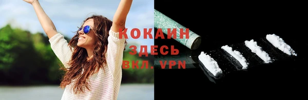 ГАЛЛЮЦИНОГЕННЫЕ ГРИБЫ Верея