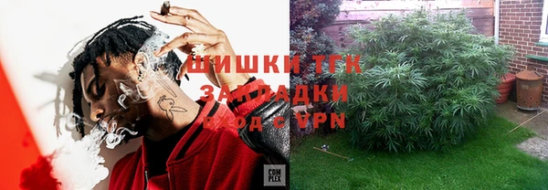 ГАЛЛЮЦИНОГЕННЫЕ ГРИБЫ Верея