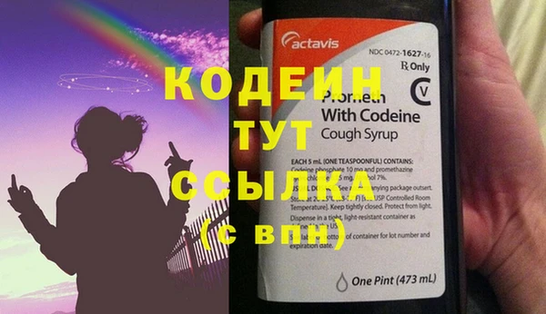ГАЛЛЮЦИНОГЕННЫЕ ГРИБЫ Верея