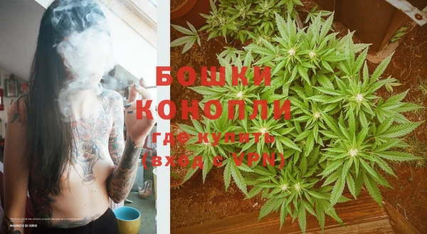 шишки Волоколамск