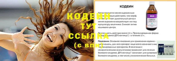 шишки Волоколамск