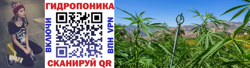 kraken маркетплейс  Вилючинск  Конопля Ganja 